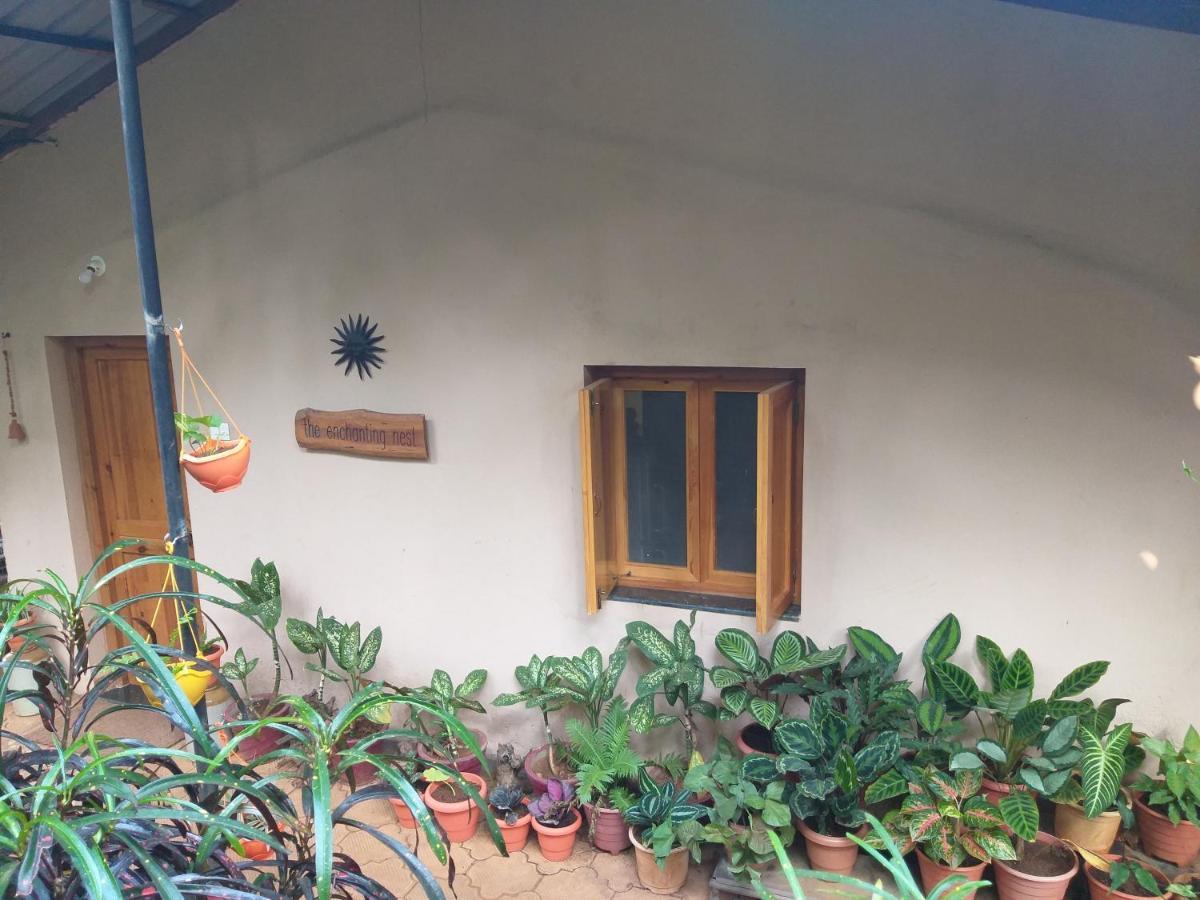 The Enchanting Nest Borim Exterior photo
